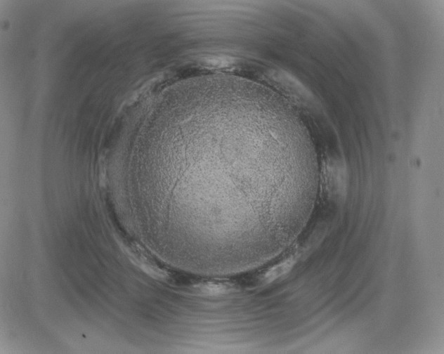 X0000084580412200702231300