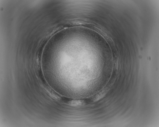 X0000084580418200702231300