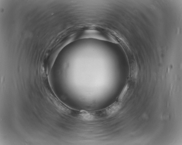 X0000084580425200702231300