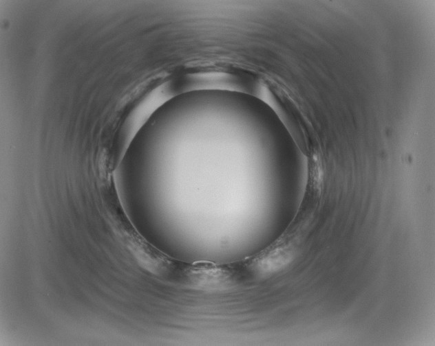 X0000084580428200702231300