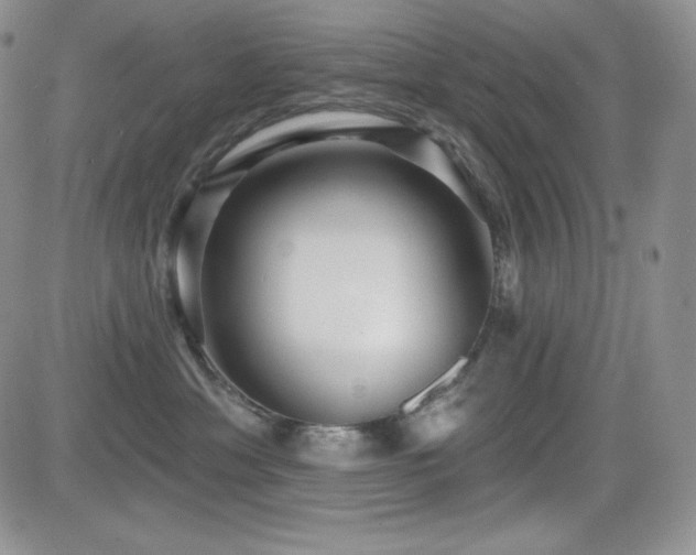X0000084580429200702231300