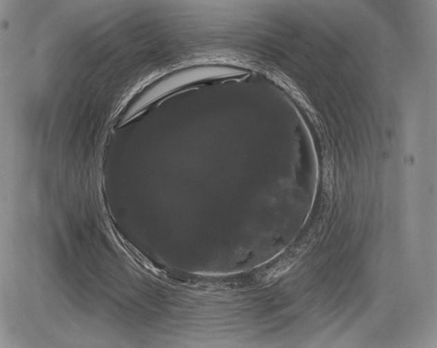 X0000084580434200702231259
