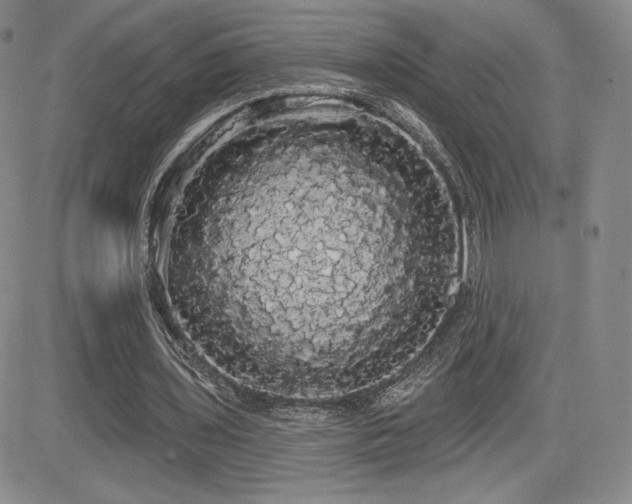X0000084580435200702231259