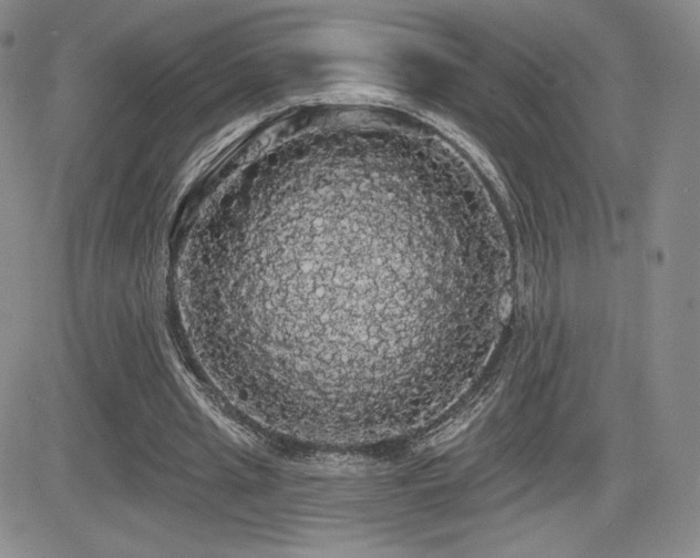 X0000084580437200702231259
