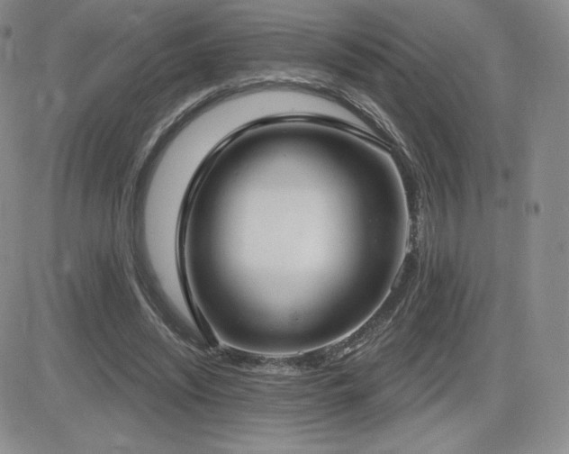 X0000084580444200702231259