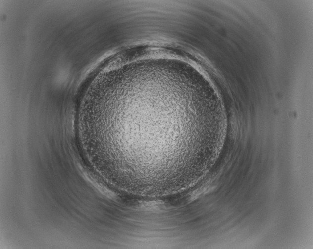X0000084580446200702231259