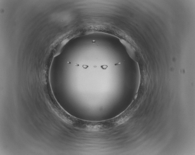 X0000084580450200702231259