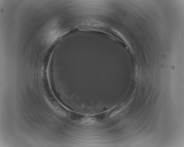 X0000084580451200702231259