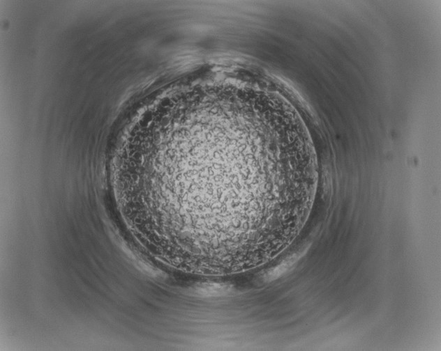 X0000084580453200702231300