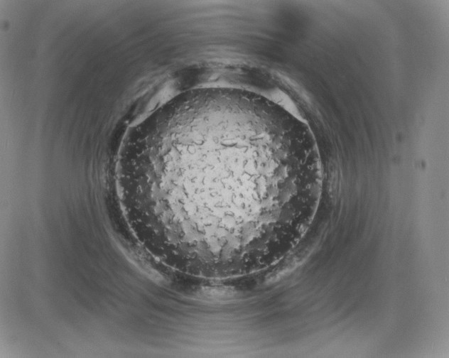 X0000084580455200702231300