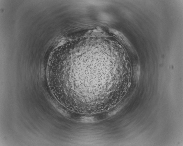 X0000084580457200702231300