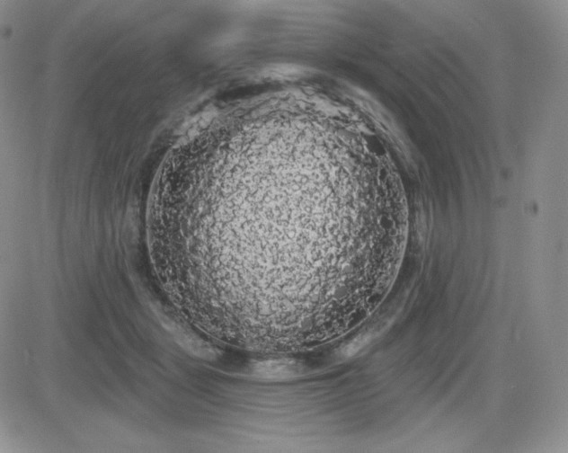 X0000084580461200702231300