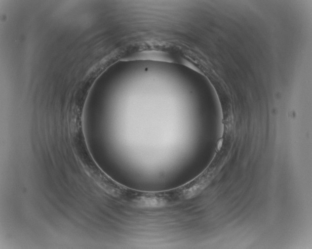 X0000084580464200702231300