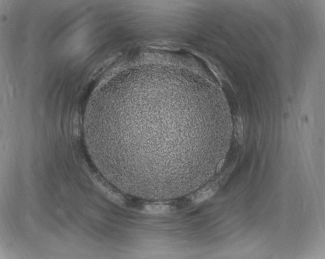X0000084580470200702231300