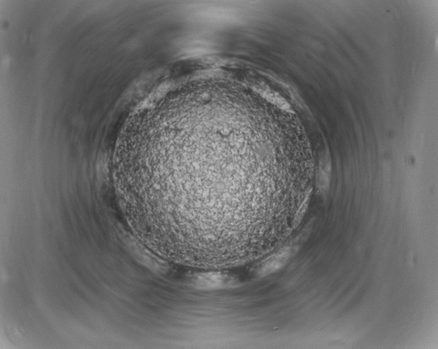 X0000084580473200702231300