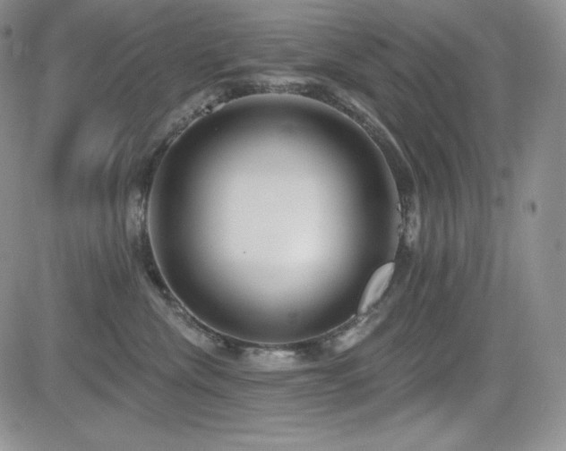 X0000084580476200702231300