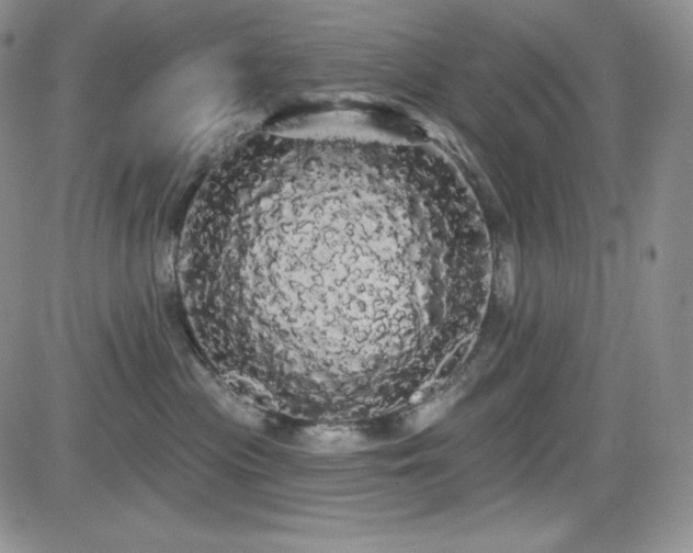 X0000084580477200702231300