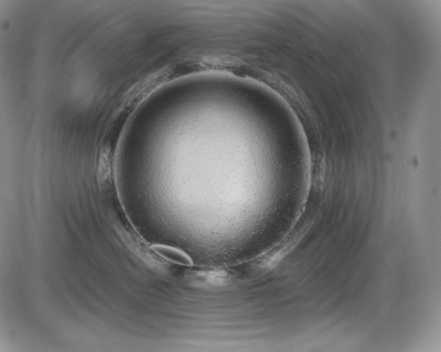 X0000084580478200702231300