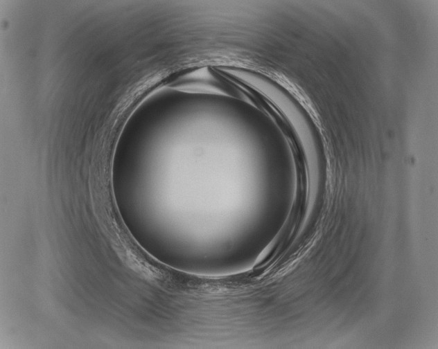 X0000084580481200702231259