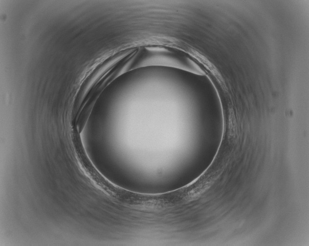 X0000084580485200702231259