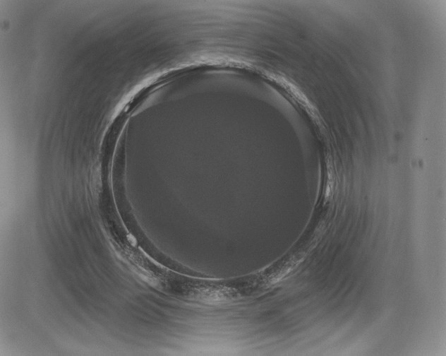 X0000084580488200702231259
