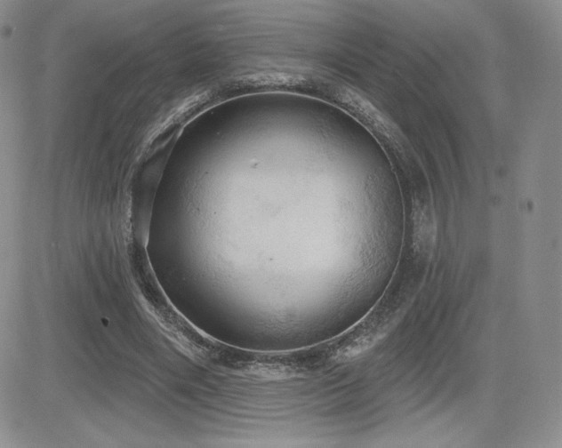 X0000084580490200702231259