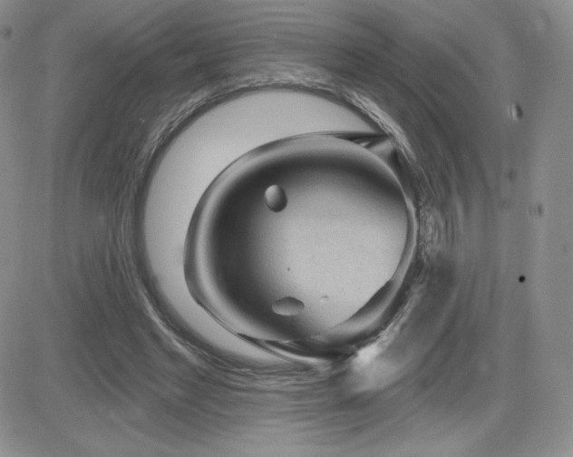 X0000084580493200702231259