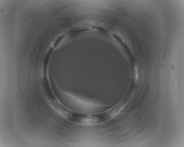 X0000084580504200702231259
