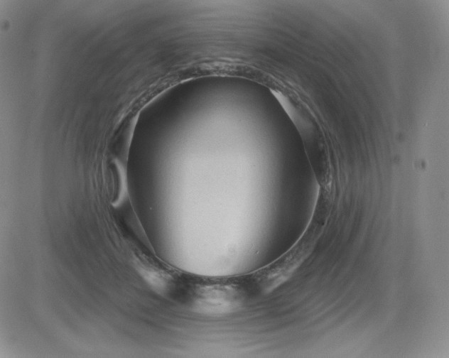 X0000084580508200702231259