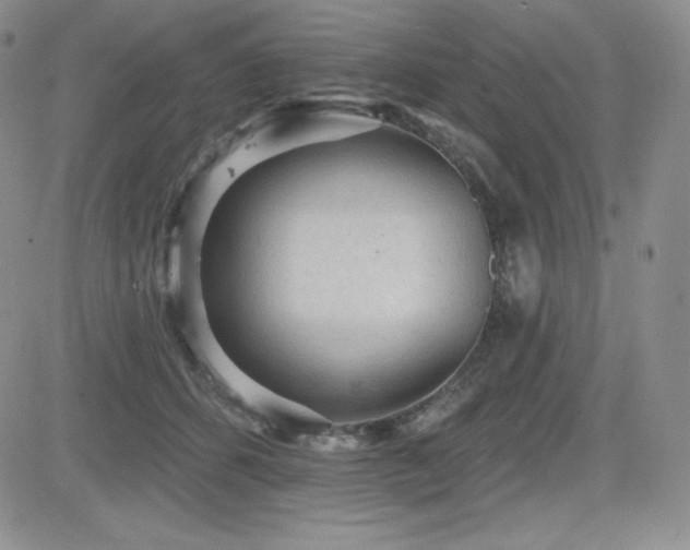 X0000084580512200702231259