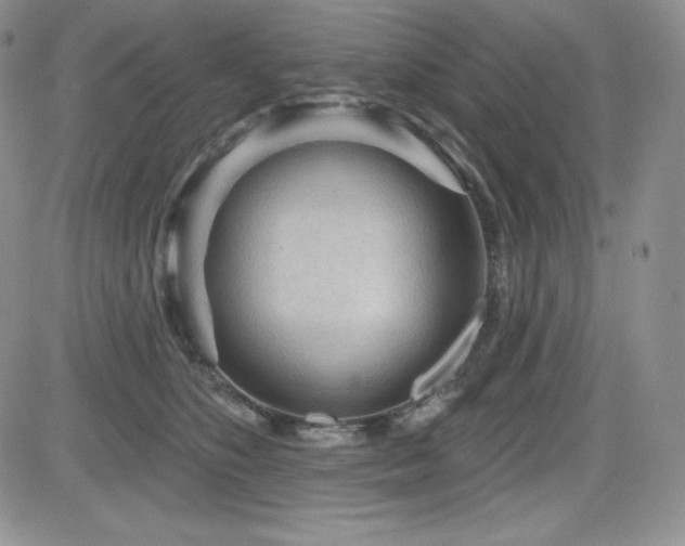 X0000084580516200702231259