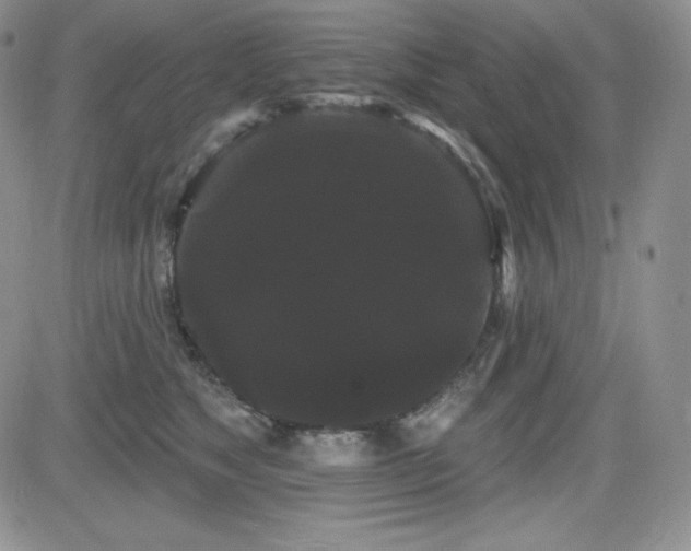 X0000084580517200702231259