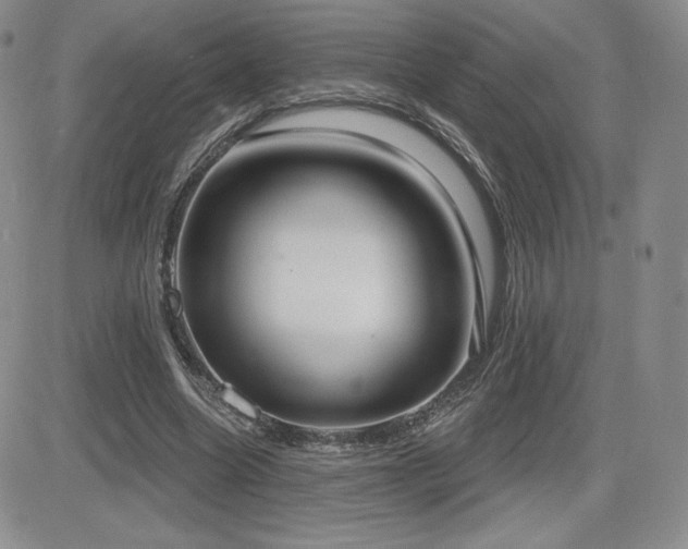 X0000084580538200702231258