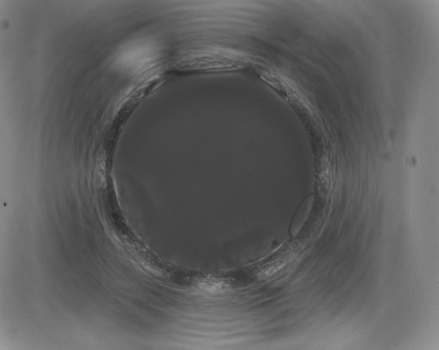 X0000084580547200702231258