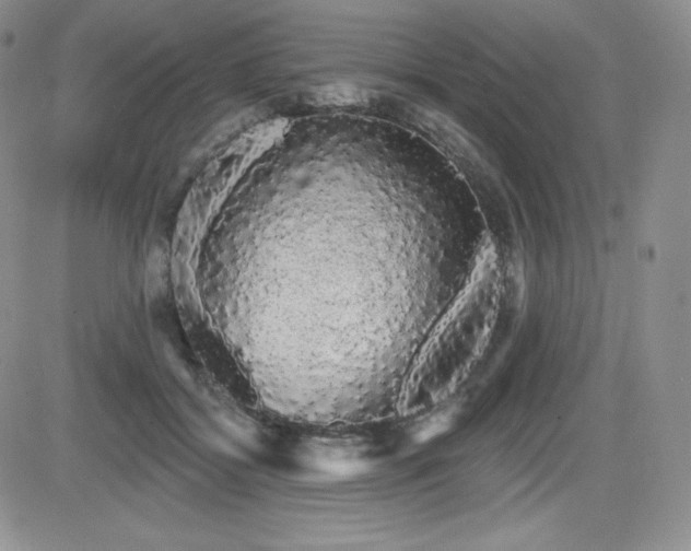 X0000084580556200702231258