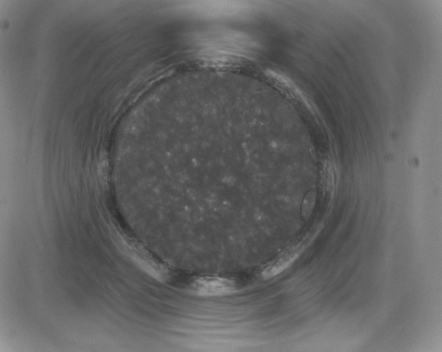 X0000084580557200702231258