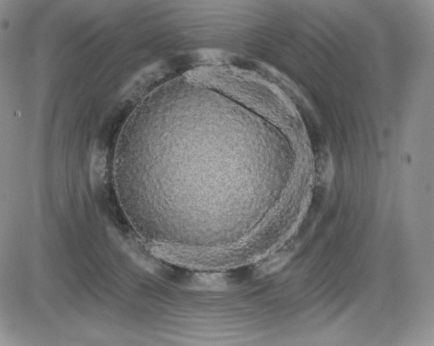 X0000084580560200702231258