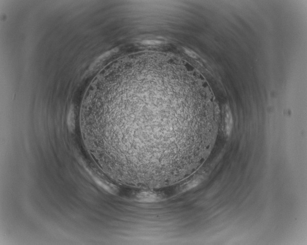 X0000084580562200702231258
