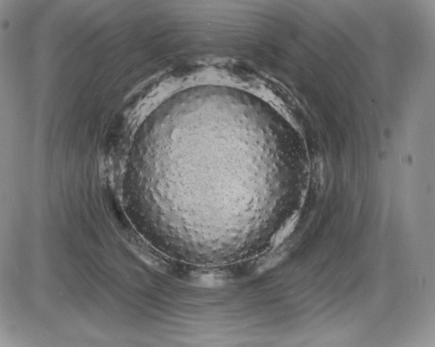 X0000084580564200702231258