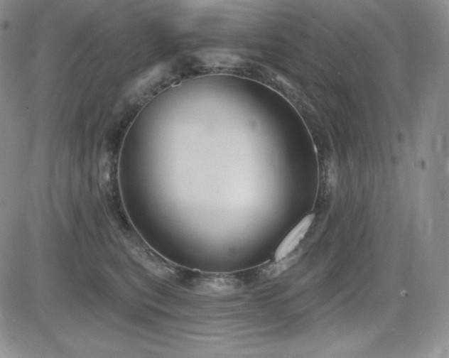 X0000084580567200702231258