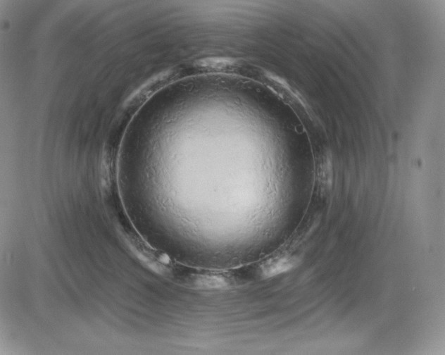 X0000084580572200702231258