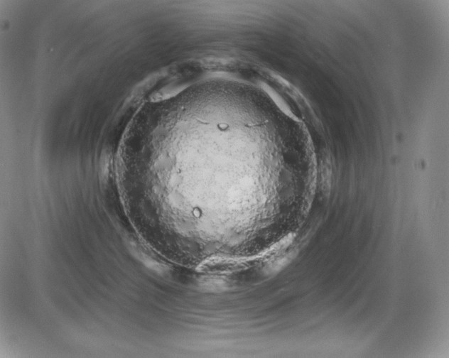 X0000084580574200702231258