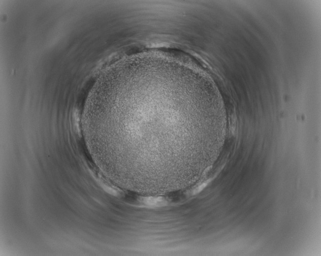 X0000084580575200702231258