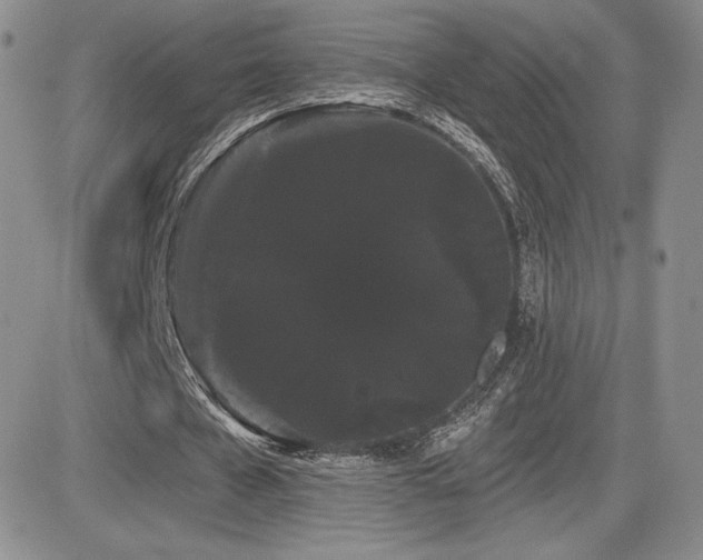 X0000084580577200702231258