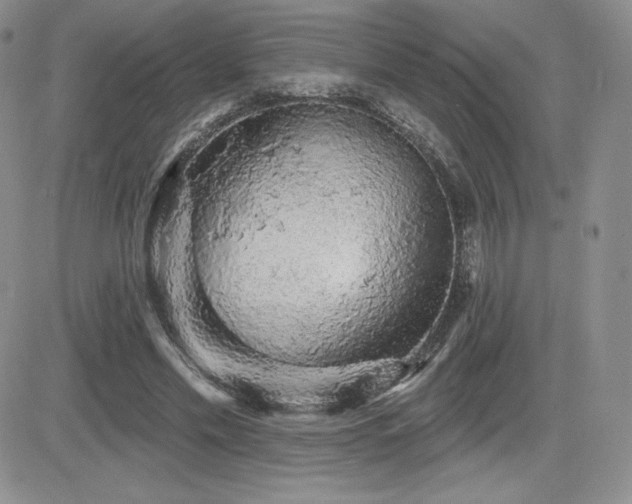 X0000084580589200702231257