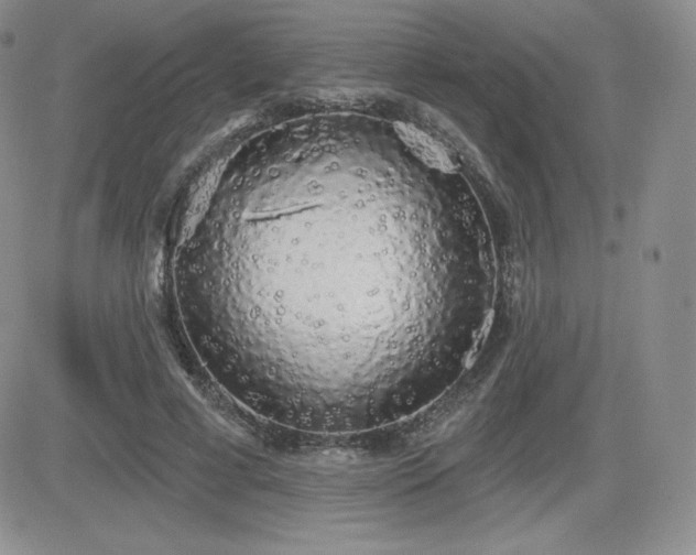 X0000084580593200702231257