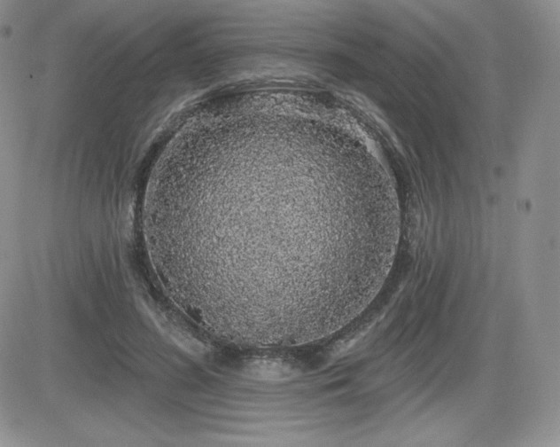 X0000084580596200702231257