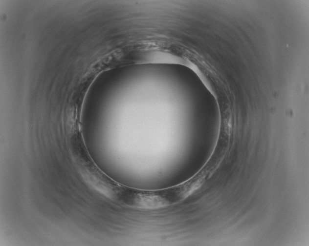 X0000084580605200702231257