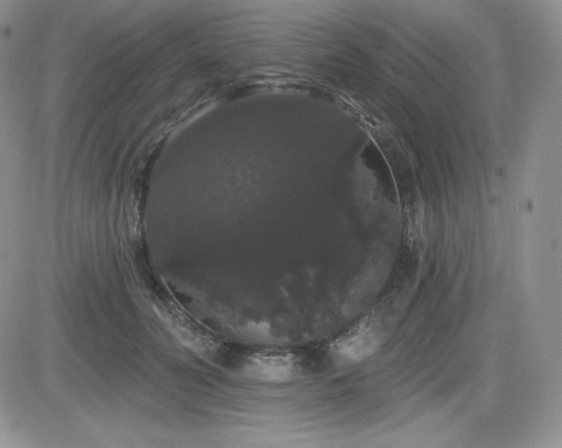 X0000084580606200702231257