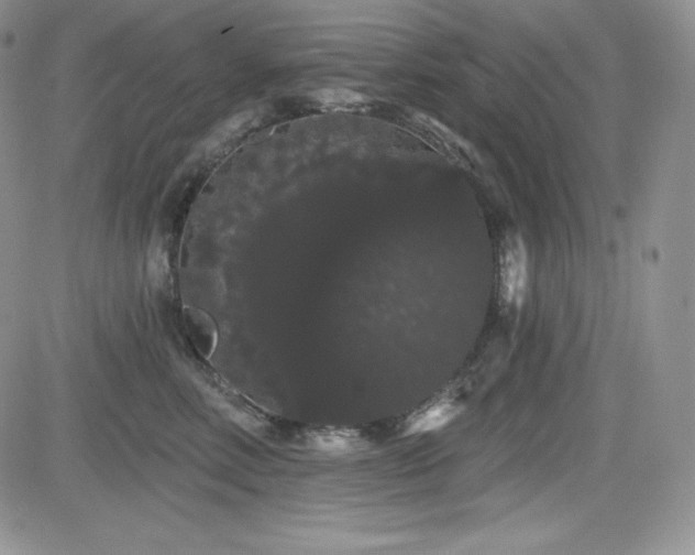 X0000084580618200702231257